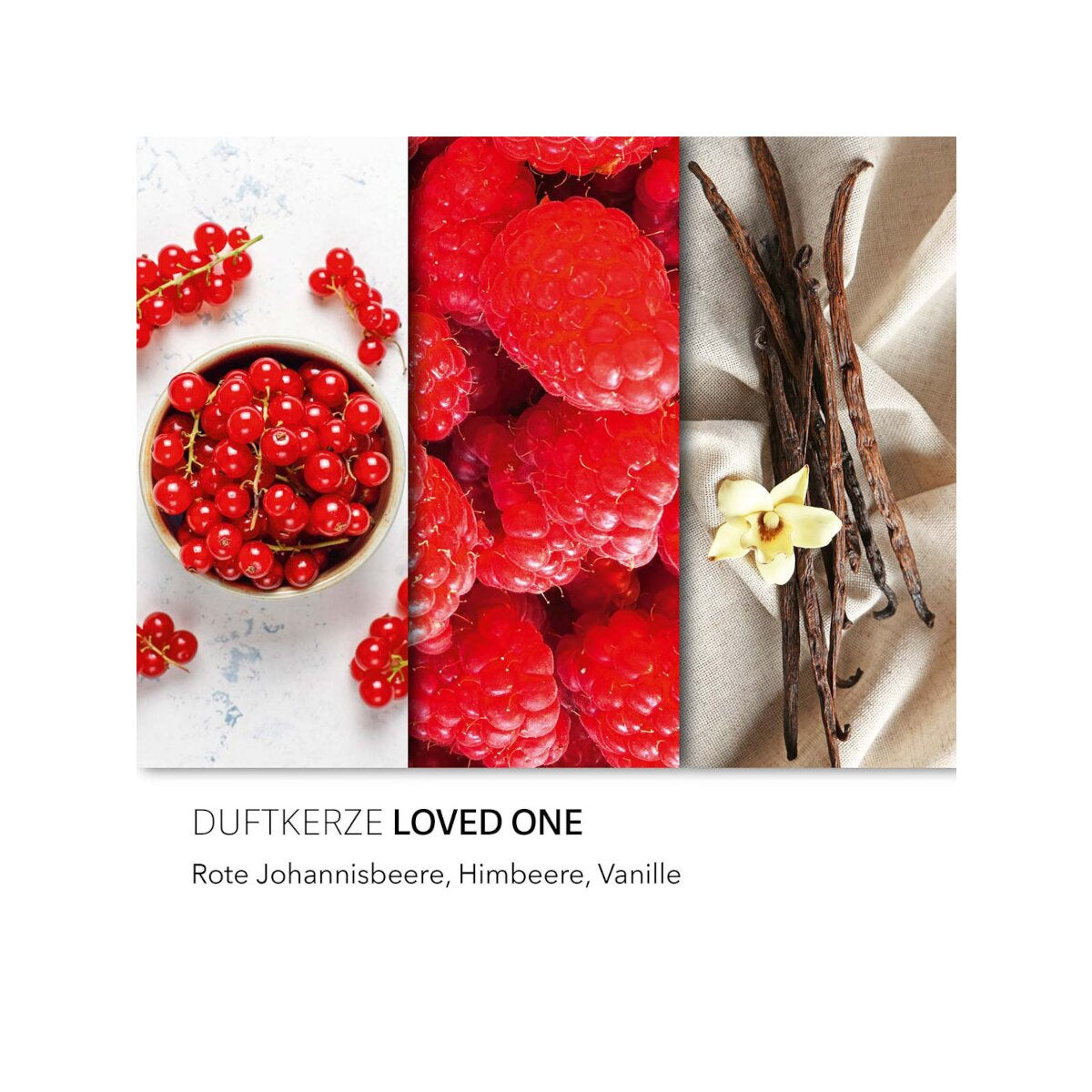 Balthasar Duftkerze – Loved One (Johannisbeere) – Ø 10 × 9,5 cm – ca. 50 h