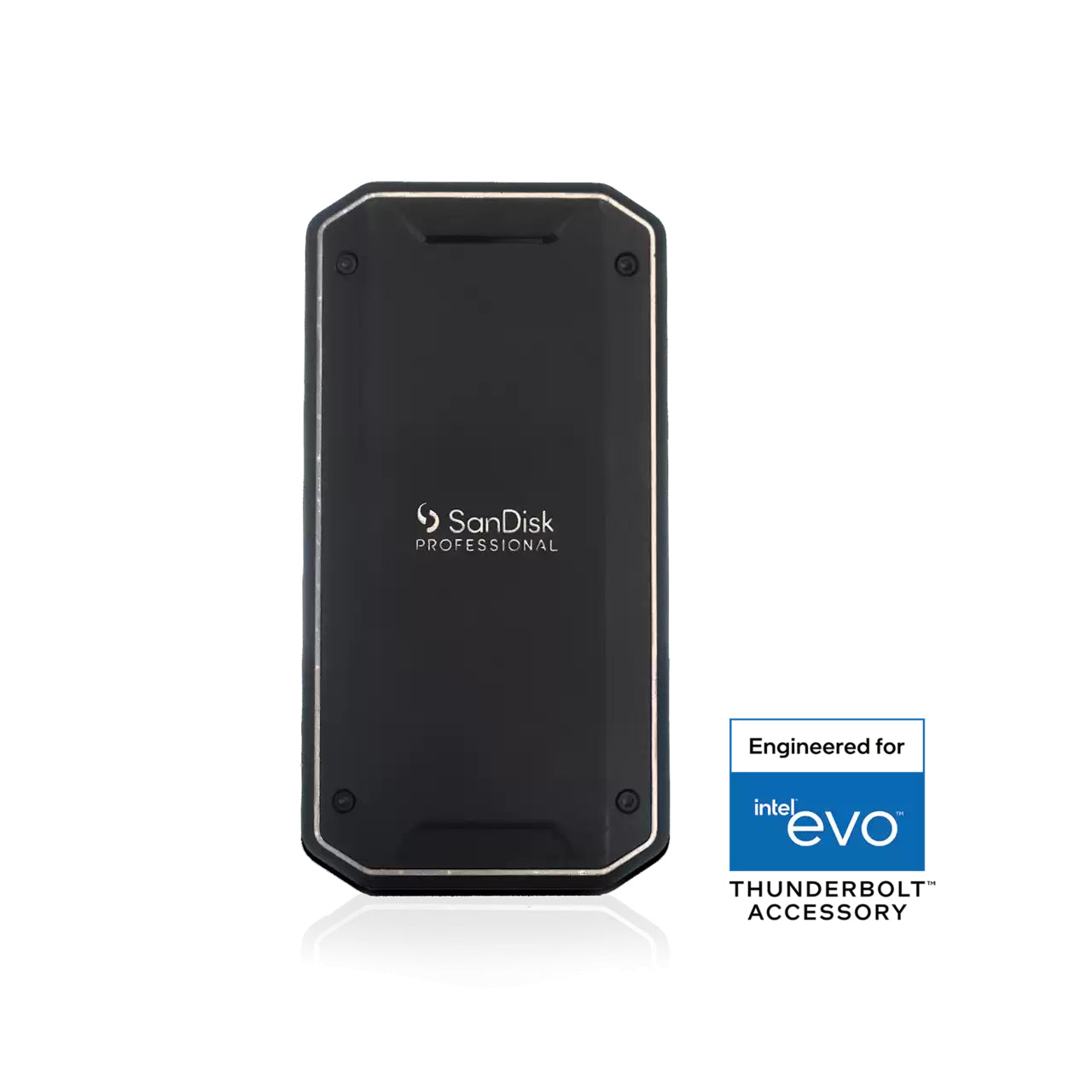 SanDisk Pro G40 Speichergerät – 2 TB, Thunderbolt 3, USB-C, IP68