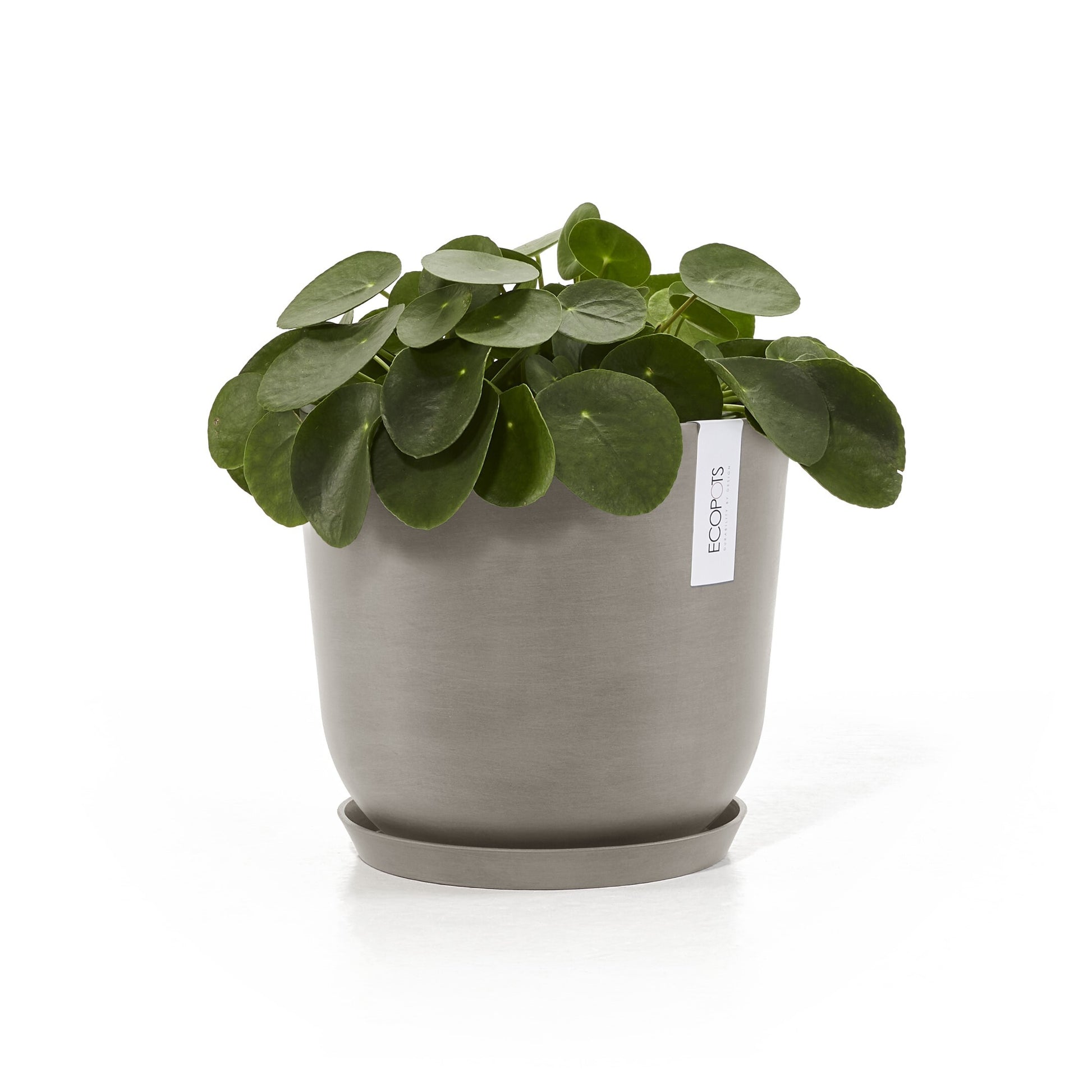 Ecopots Schale – Recycling-Kunststoff, taupe – Ø 21 × 2,5 cm
