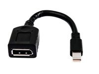 HP Mini DisplayPort auf DisplayPort Adapter