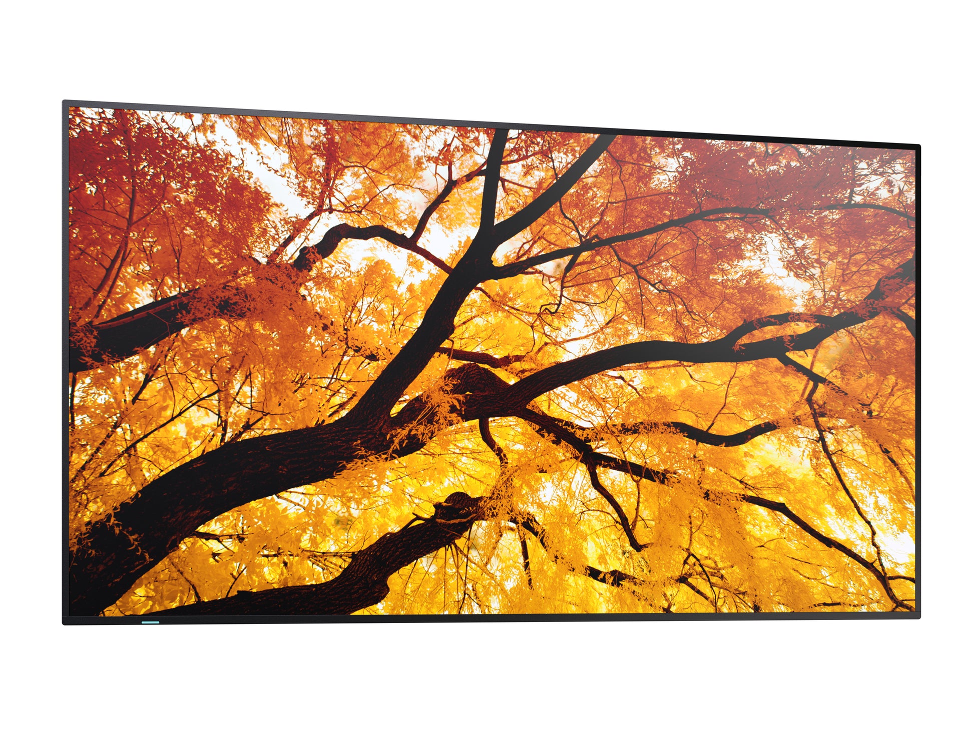 Sharp M322 – 32" Full HD Signage-Display, 550 cd/m², 24/7, Schwarz