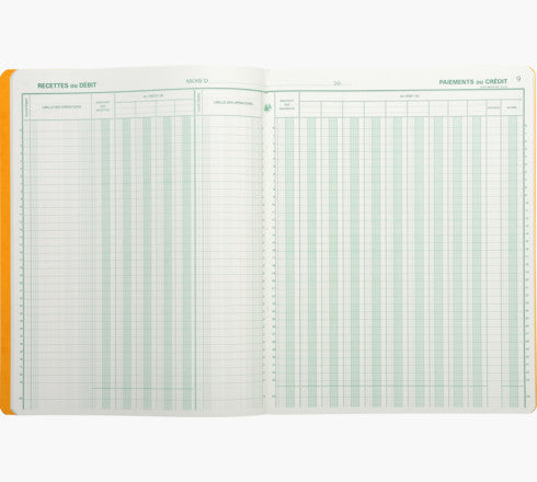 Exacompta Register 'Kassen- oder Bankjournal' – 320 × 250 mm – 80 Seiten, 110 g/m²