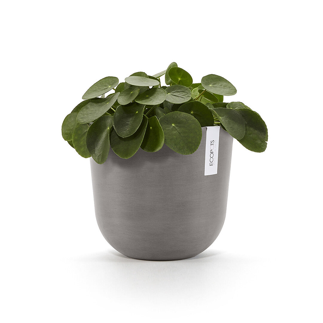 Ecopots Oslo Pflanzentopf – Ø 25 × 21,8 cm – Recycling-Kunststoff, Taupe
