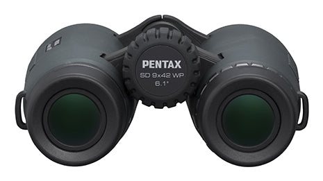 Pentax SD