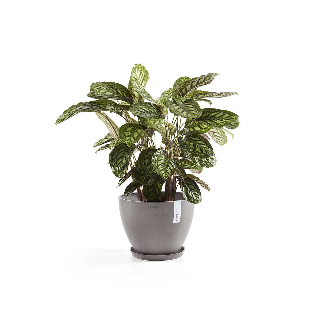 Ecopots Unterteller – Ø 37 × 3,5 cm – Recycling-Kunststoff, Taupe