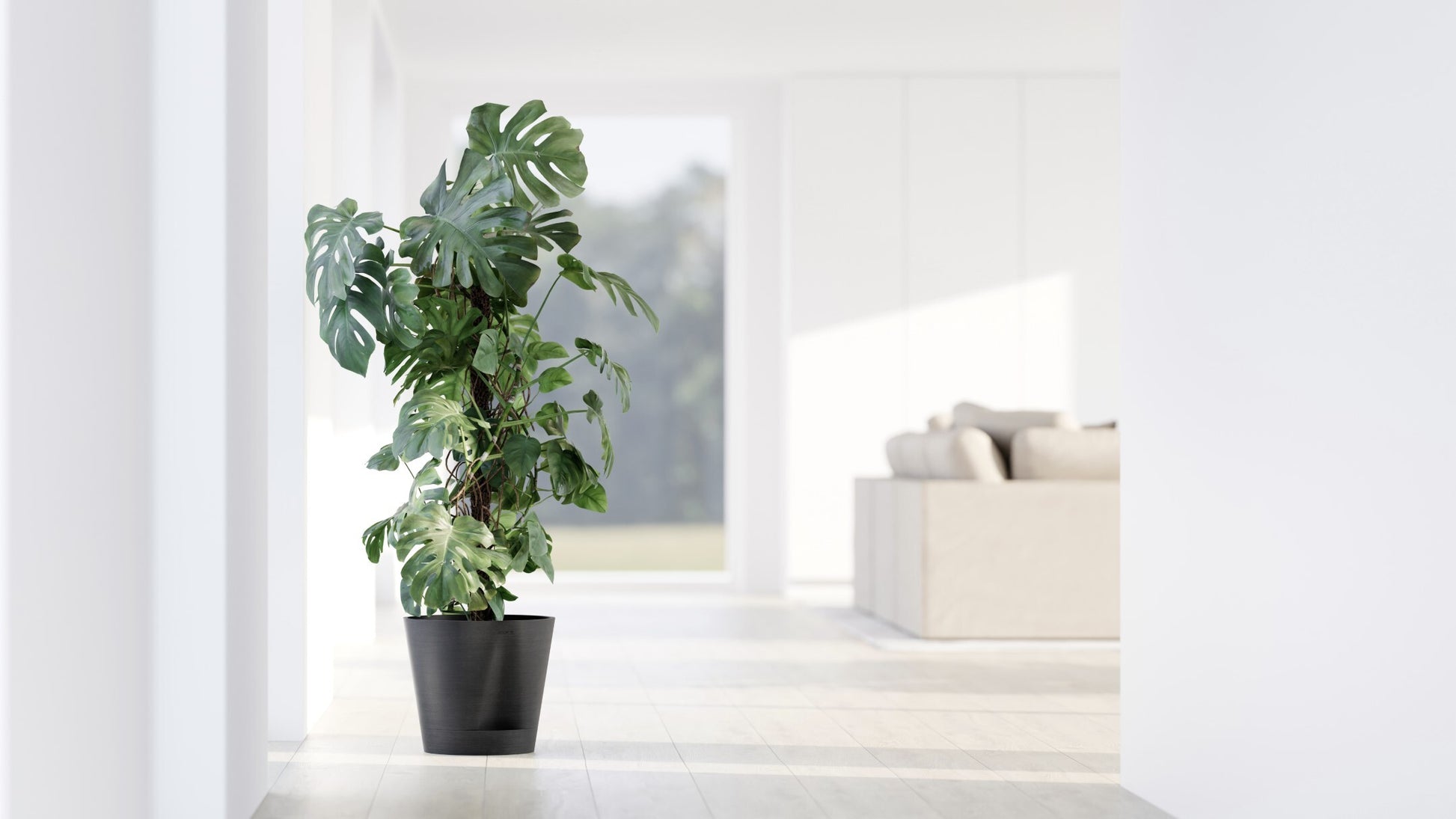 Ecopots Blumentopf – rund, 60 l, mit Wasserreservoir – Recycling-Kunststoff, dunkelgrau