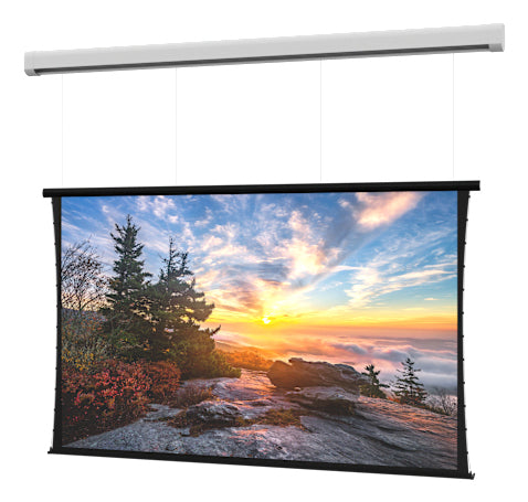 Da-Lite Myriad Reveal SightLine 251.4x – Elektrische Leinwand, 16:9, 447 × 251 cm (202")