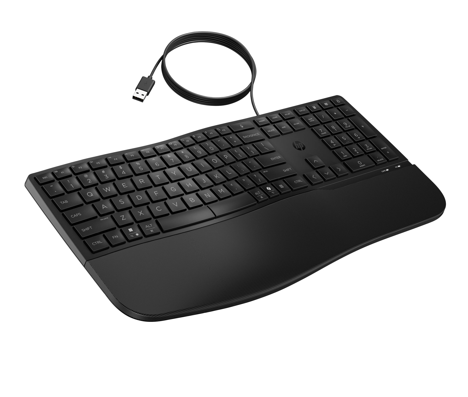 HP 485 CFT WD – Tastatur – USB (kabelgebunden), Vollformat, Membran, Schwarz