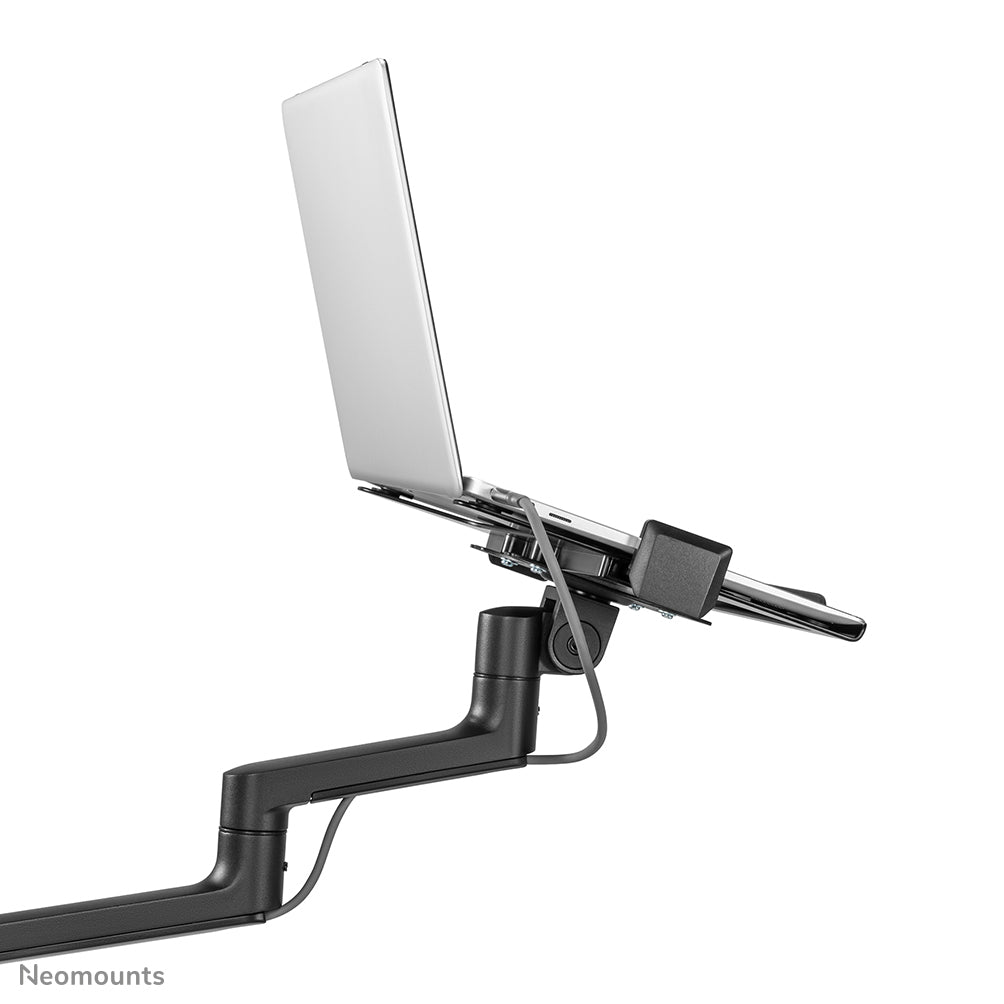 Neomounts Laptop-Arm (Klemme/Durchführung) – für Notebooks bis 17,3" – VESA 100×100, 5 kg – Schwarz