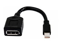 HP Mini DisplayPort auf DisplayPort Adapter