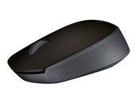 Logitech M170 – Maus – Kabellos (2,4 GHz), 1000 DPI, beidhändig, Grau