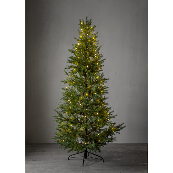 Star Trading Lichterkette Dew Drop Micro – 2 m, 160 LEDs, 3,2 W, Warmweiss, 2700 K, IP44, Kabelbetrieb, Grün
