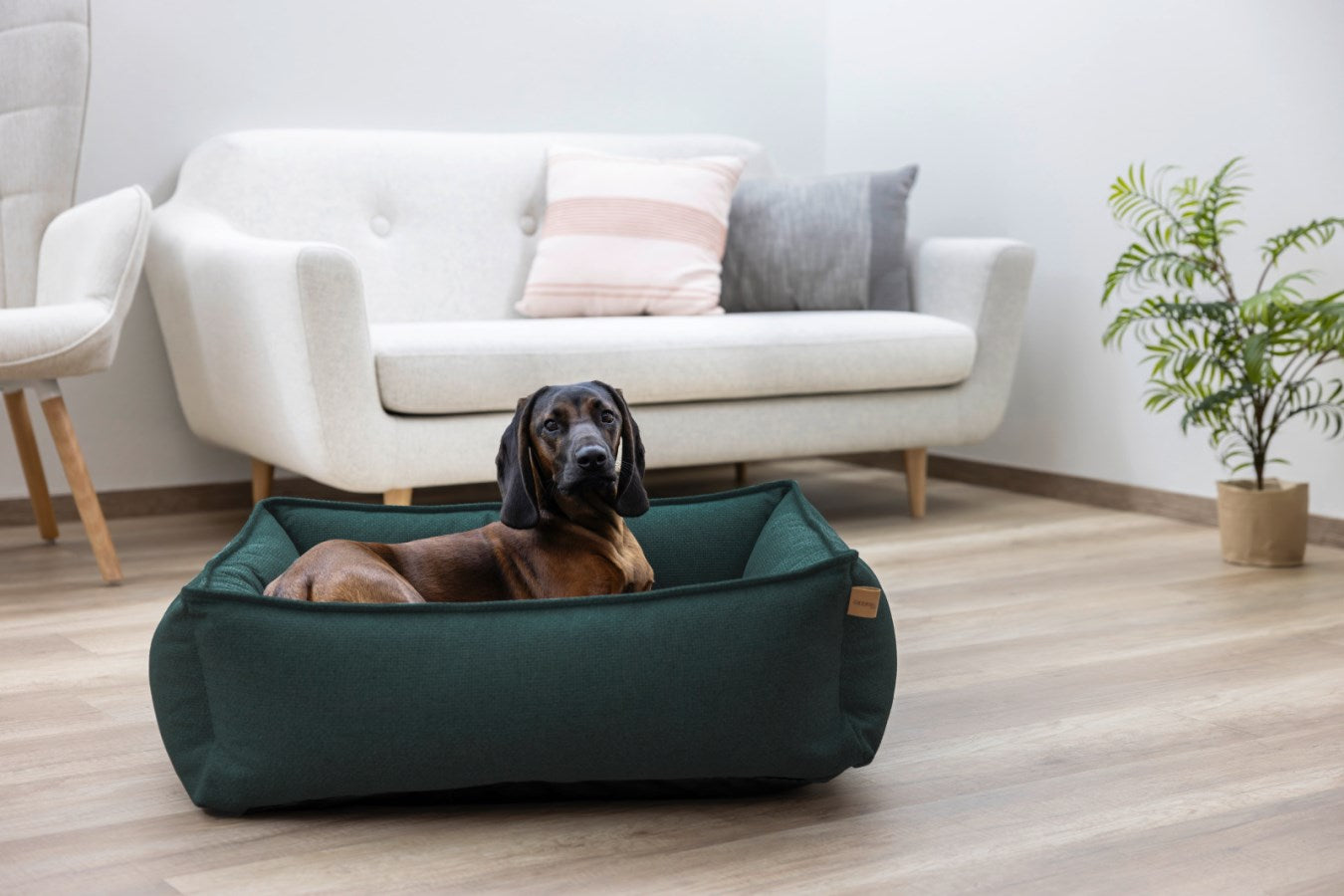 Kerbl Oliver Kuschelbett – 70 × 60 cm, Polyester, abnehmbarer Bezug, grün
