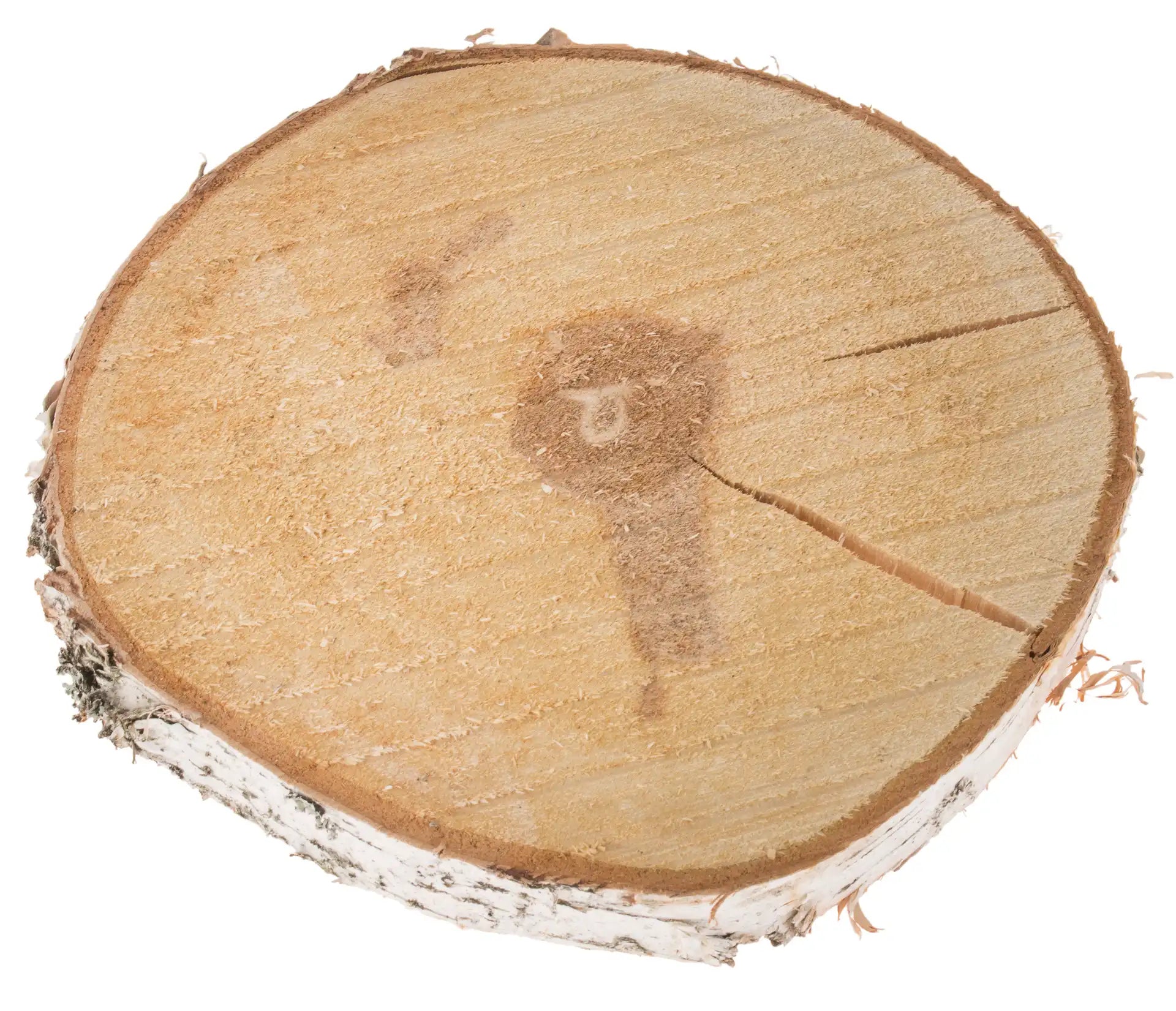 Opiflor Holzrohling, Birke, Natur, Ø 30 cm × 3,5 cm, 1 Stk., rund