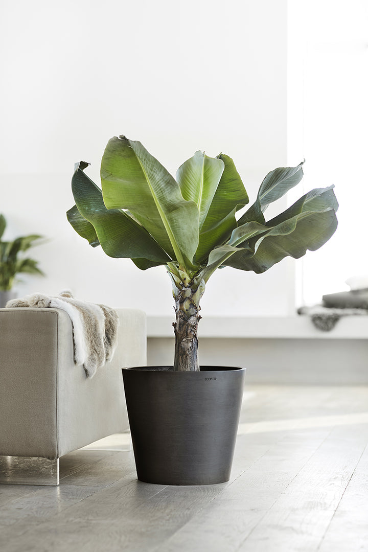 Ecopots Amsterdam Pflanzkübel – Ø 40 × 35 cm – Recycling-Kunststoff, Dunkelgrau