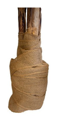 Colibri Jutevlies – Rolle 100 mm × 25 m, 230 g/m², Mehrfarbig