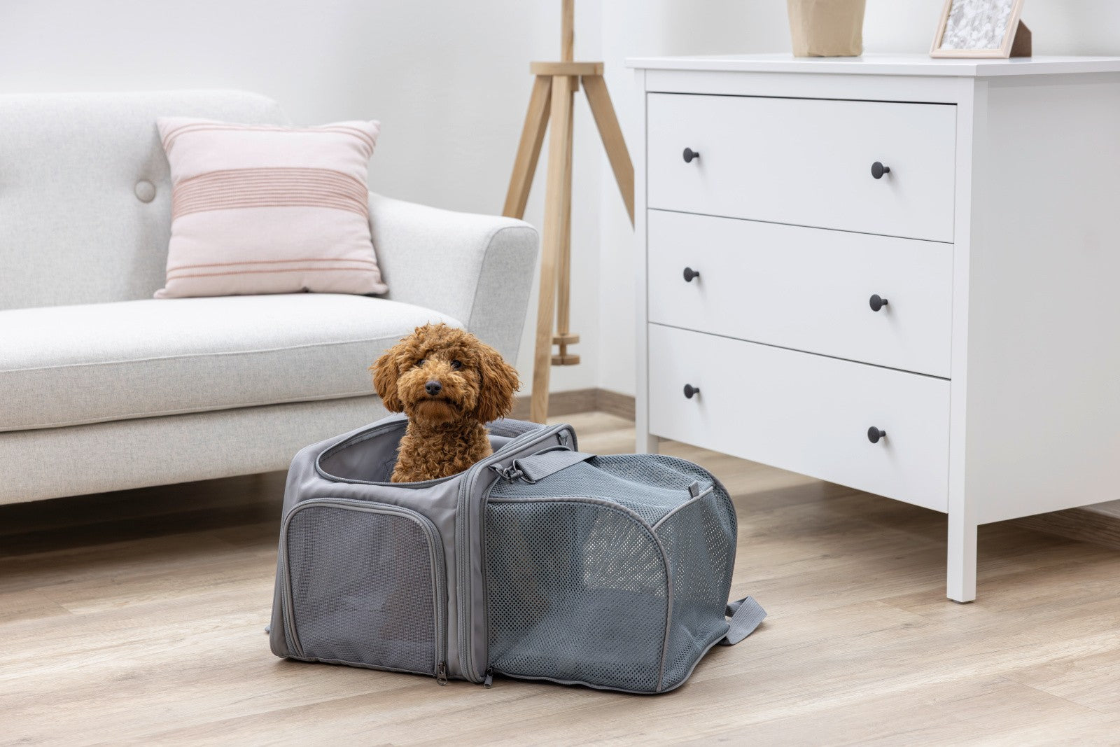 Kerbl Vacation – Tragetasche für Katze und Hund, Grau, 31 × 30 × 44 cm