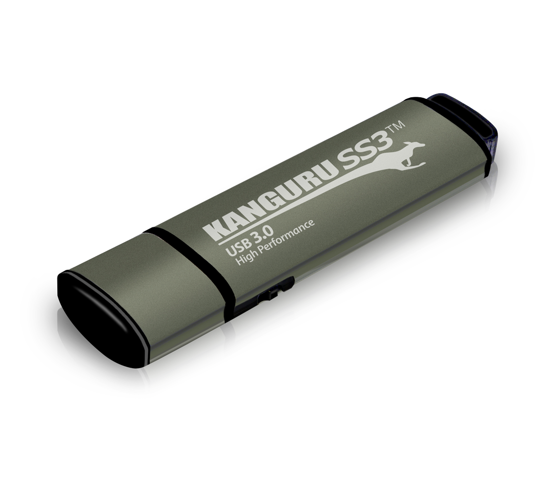 iStorage Kanguru SS3 – 256 GB, USB Typ-A, USB 3.2 Gen 1, 400 MB/s Lesen, Schreibschutzschalter