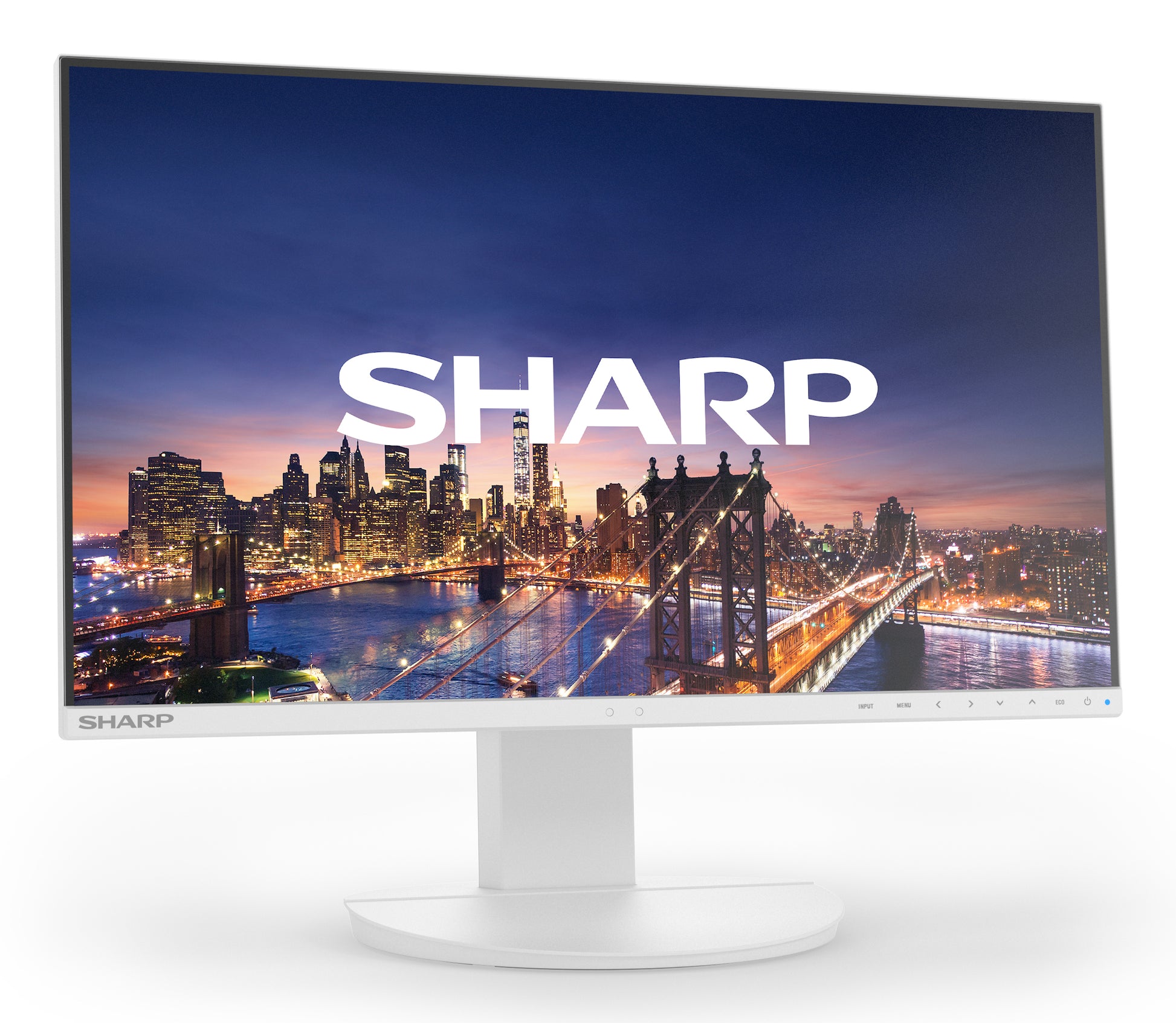 Sharp MultiSync EA242F – 24", 1920 × 1080 (Full HD), IPS
