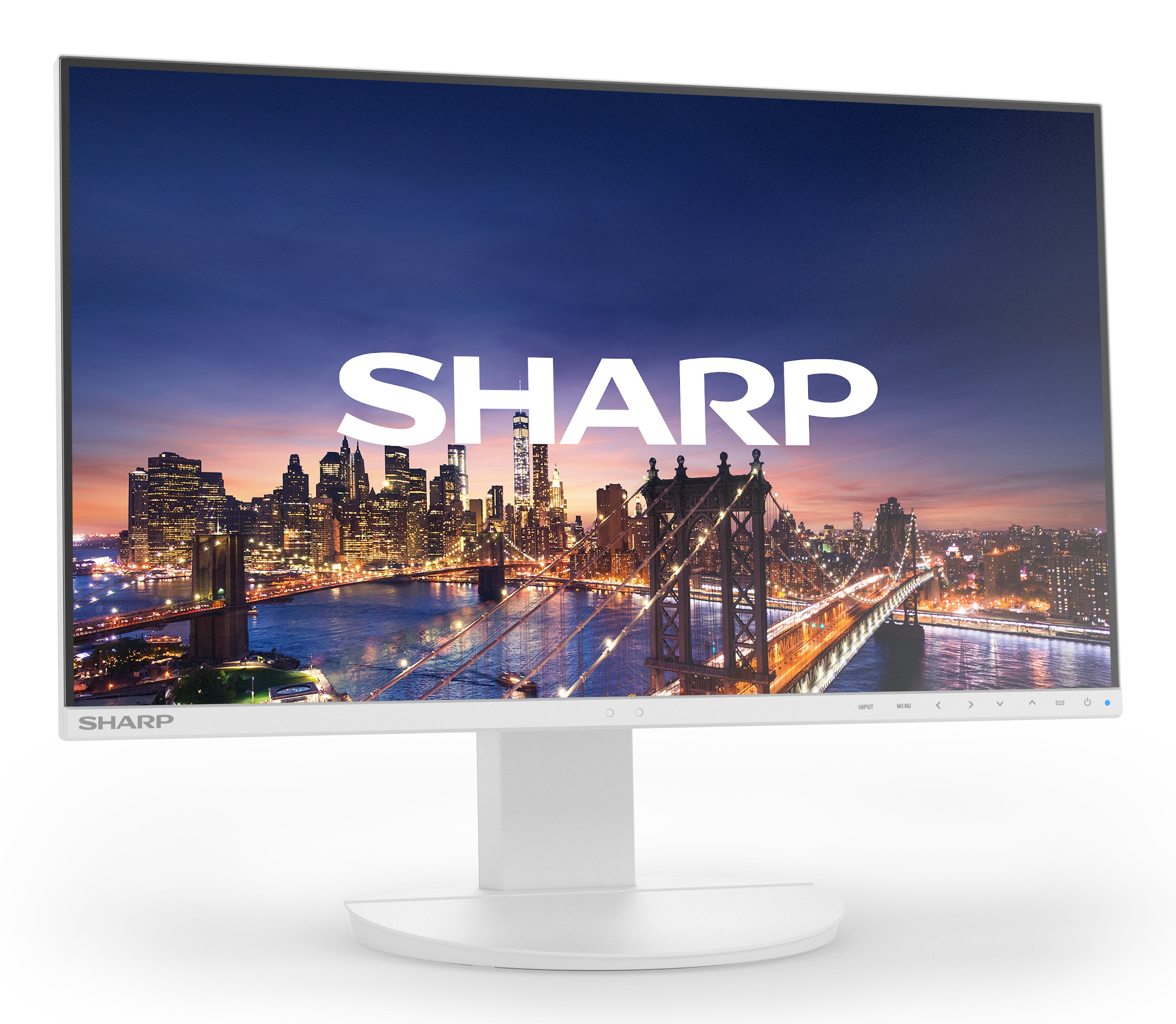 Sharp MultiSync EA242F – 24", 1920 × 1080 (Full HD), IPS