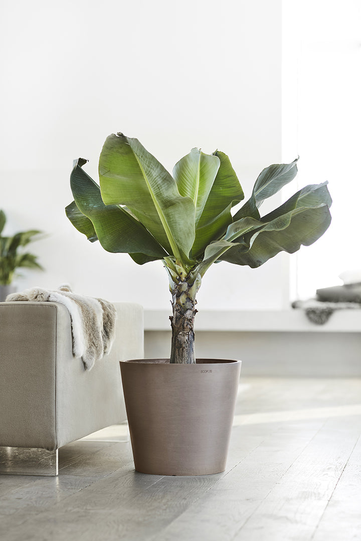 Ecopots Pflanzentopf – Ø 40 × 35 cm – Recycling-Kunststoff, Taupe