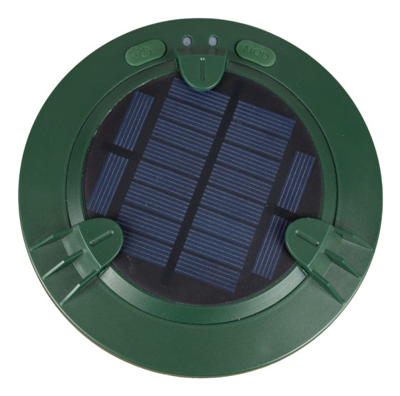 Windhager Insektenfalle Mole Stop Solar Plus – Blau – für Maulwürfe und Wühlmäuse