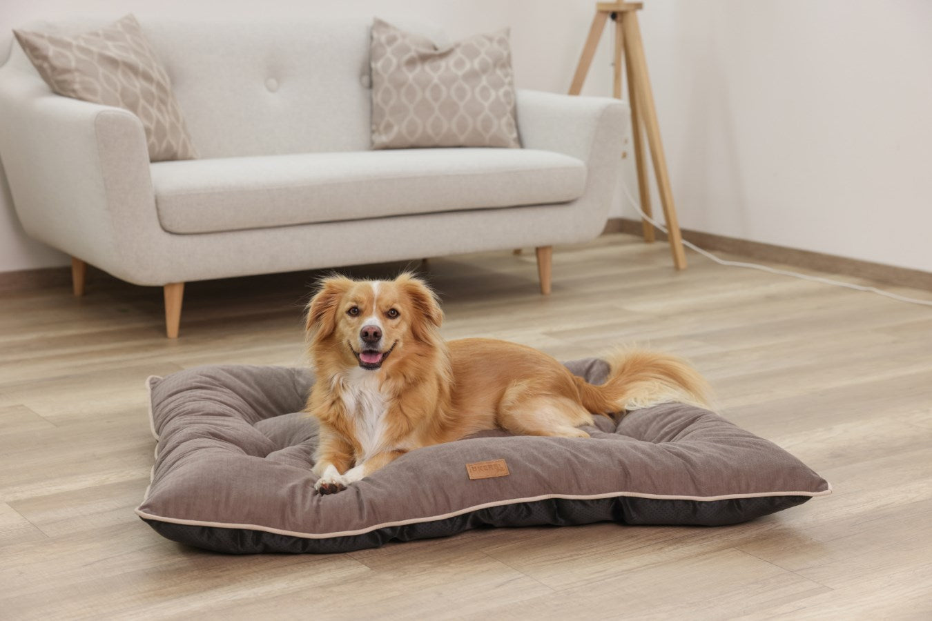 Kerbl Benno Hundekissen – 105 × 140 × 16,0 cm, Polyesterbezug, abnehmbar, maschinenwaschbar 30 °C