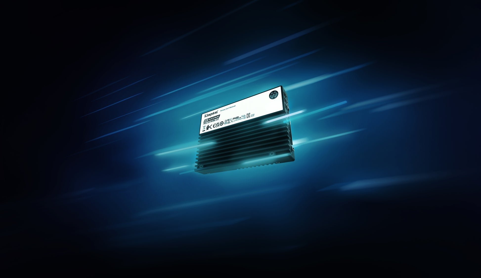 Kingston Technology Kingston DC3000ME – 30 TB Enterprise SSD, 14000/9700 MB/s, 3D eTLC – für U.2 NVMe, PCIe 5.0