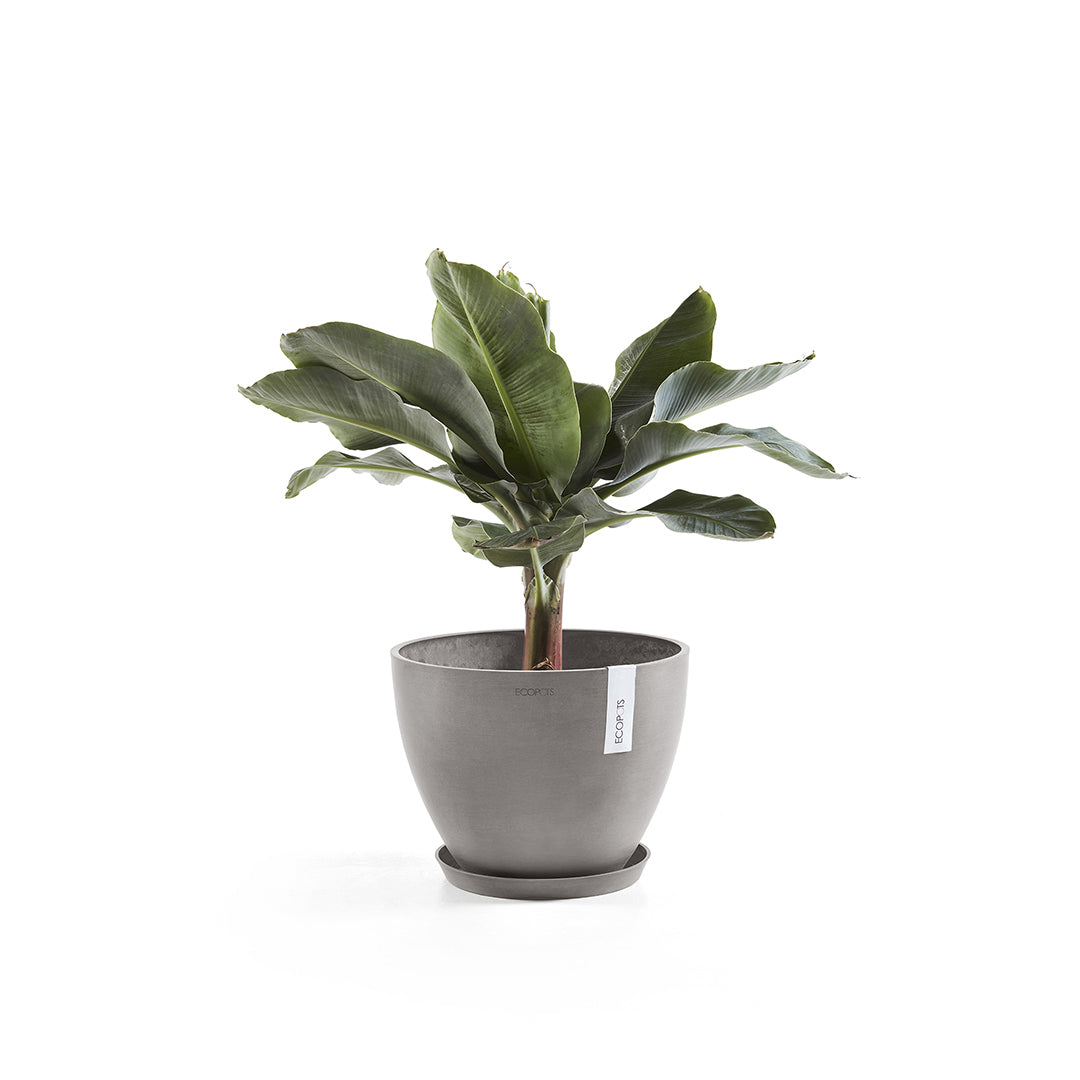 Ecopots Unterteller – Ø 28,7 × 3 cm – Kunststoff, Taupe