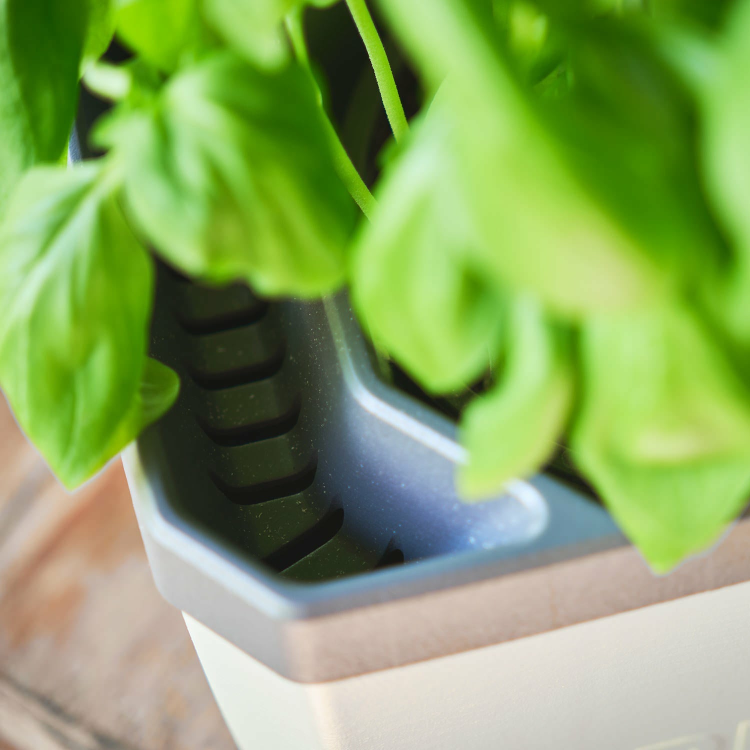Gusta Garden HERBS BUDDY Kräutertopf – 3-teilig – Polypropylen, grau