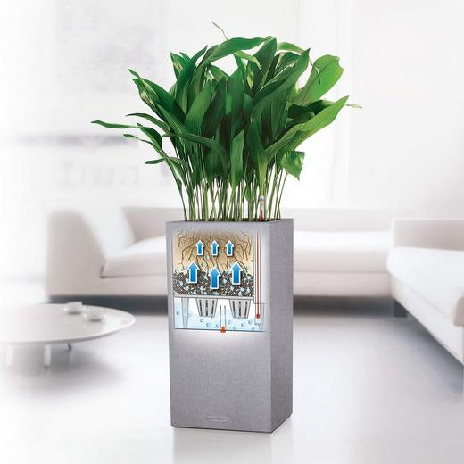 LECHUZA CANTO Stone 30 hoher Pflanzkübel – 30 × 30 × 56 cm – Kunststoff, grau