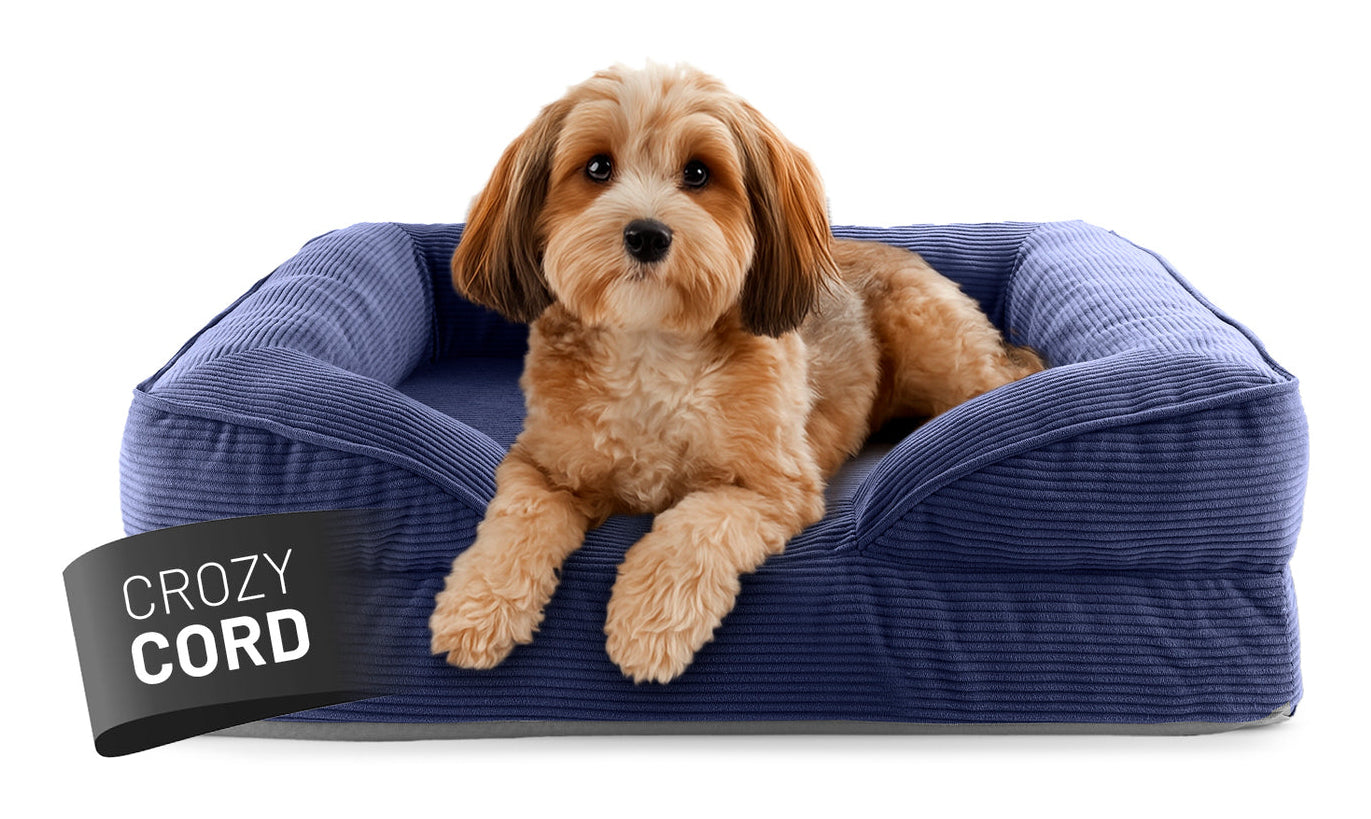 Lumaland Indoor Cord S Hundebett – 60 × 70 × 18 cm, Polyester, dunkelblau