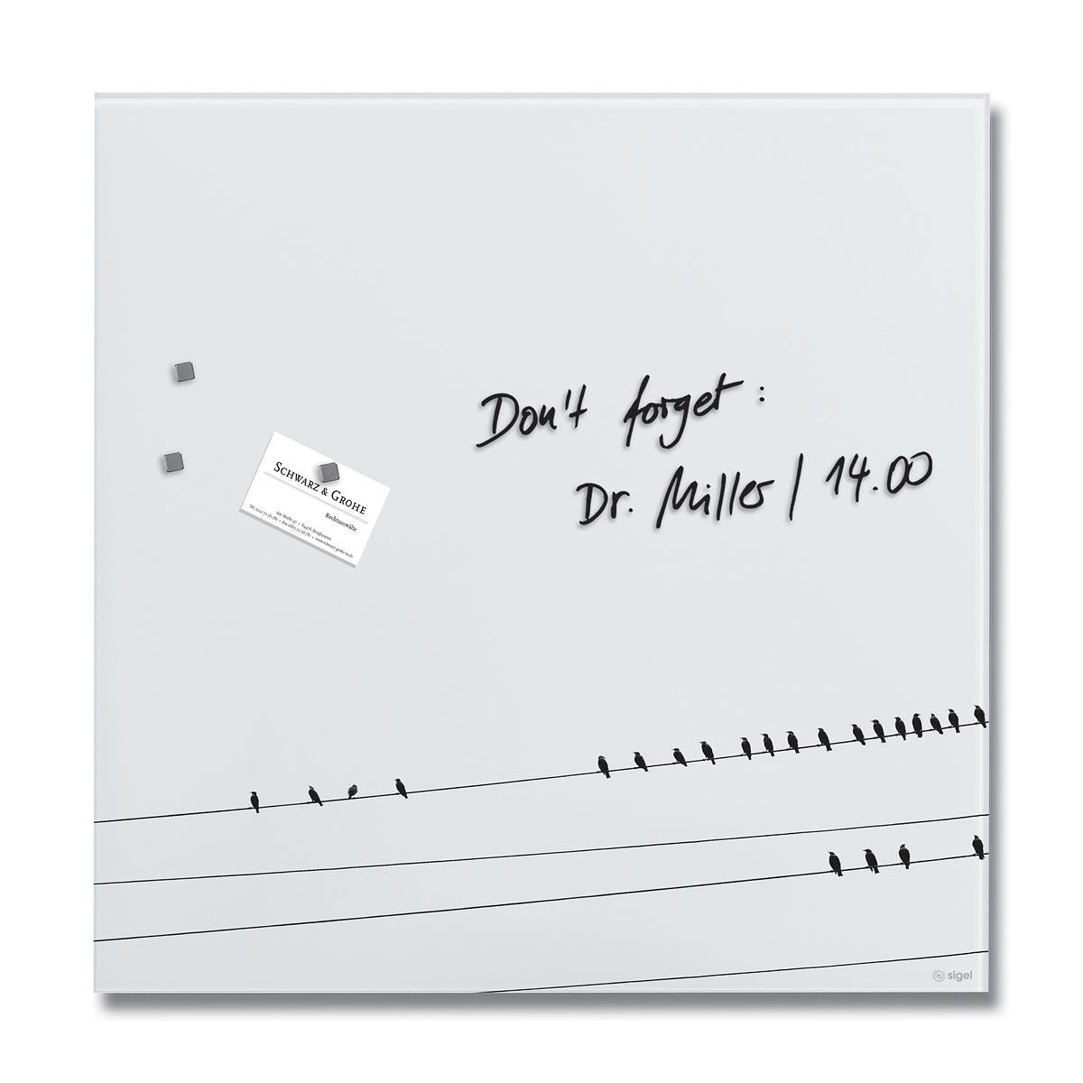 Sigel Whiteboard – 48 × 48 cm, Glas, matt, magnetisch, Wandmontage, inkl. Magnetwürfel, Montagesatz