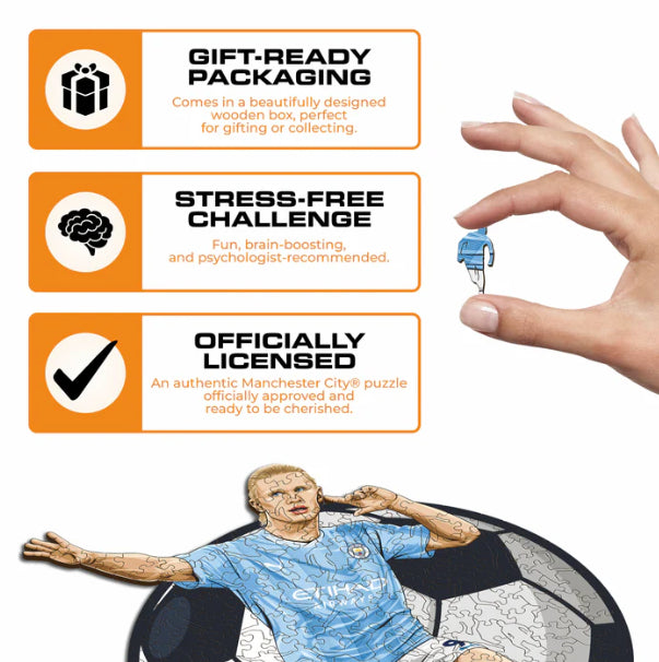 Iconic Puzzles Man City FC Erling Haaland – Formpuzzle, 1 Spieler, ab 10 J.