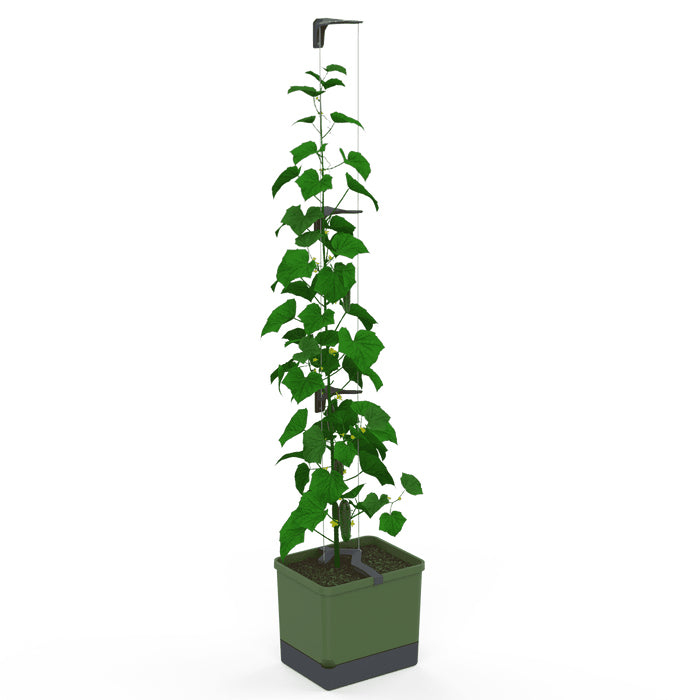 Gusta Garden Rechteckiges Pflanzgefäss 33,5×28,7×25,6 cm, grün, Polypropylen, wetterfest, für innen und aussen
