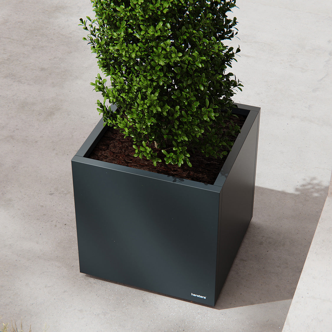 Herstera Pflanzgefäss – 50 × 50 × 50 cm – verzinkter Stahl, weiss