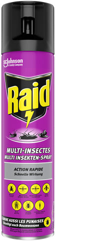Raid Insektenspray – 400 ml – für Insekten