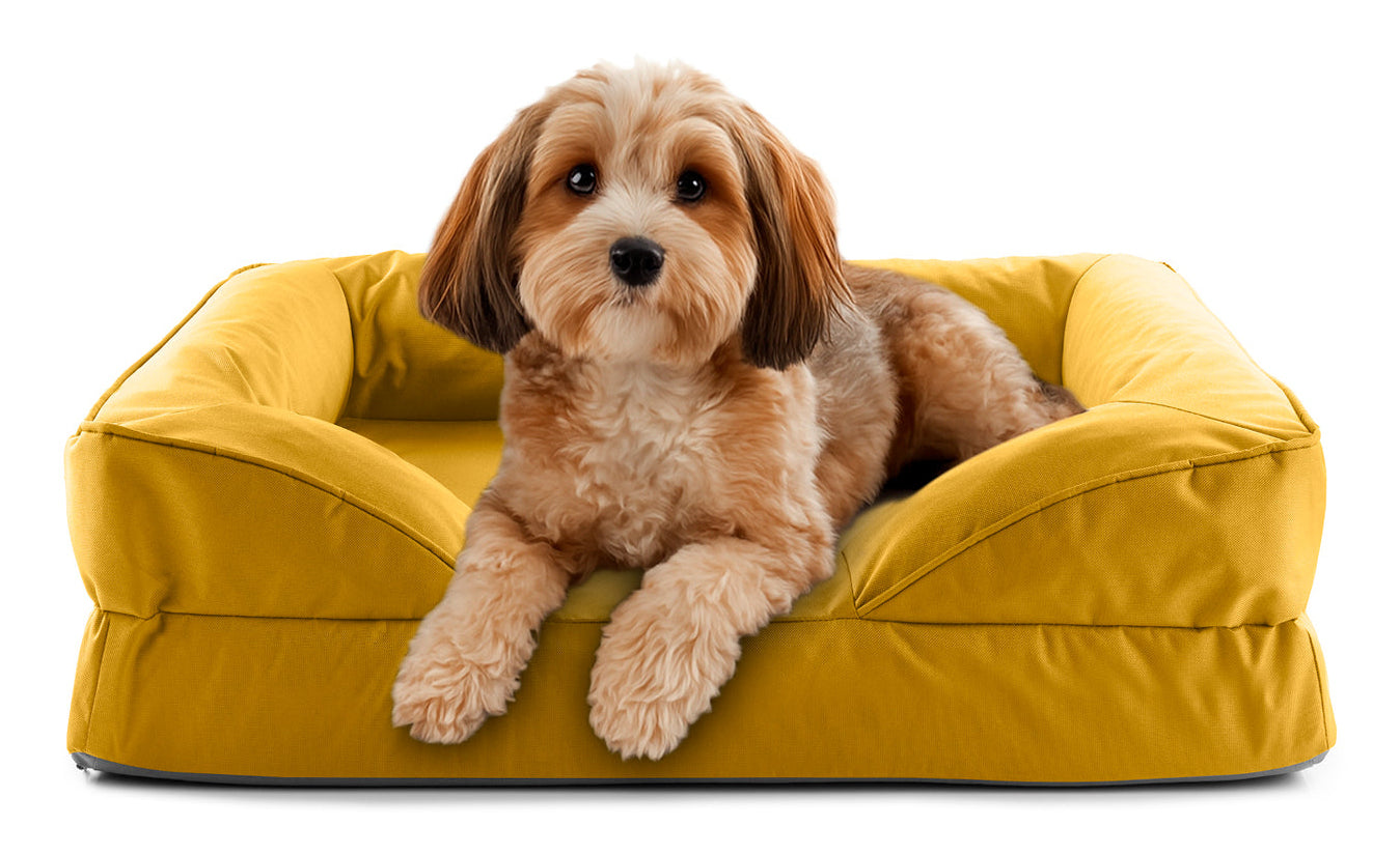 Lumaland Hundebett – 60 × 70 × 18 cm, Polyester/PVC, rutschfeste Basis, abwaschbarer Bezug, Senfgelb