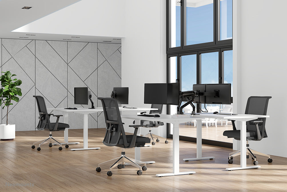 Neomounts DS70S-950BL1 – Tischhalterung, bis 49", VESA 100 × 100 mm, 18 kg, schwenkbar, schwarz