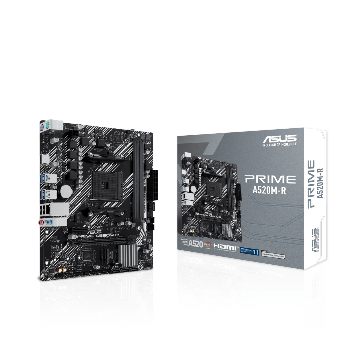 ASUS PRIME A520M-R – Mainboard – AM4, AMD A520, mATX, DDR5
