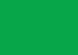 Clairefontaine Kopierpapier – A4, 120 g/m², billardgrün – für Inkjet/Laser/Kopierer – FSC – 250 Blatt