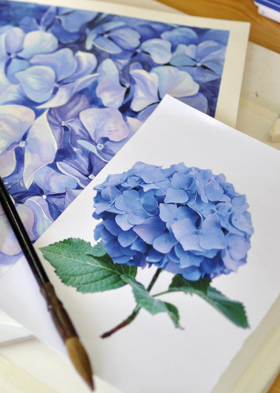 Van Gogh – Aquarellfarben – Malkasten – 12 Farben, inklusive Schwamm & Pinsel