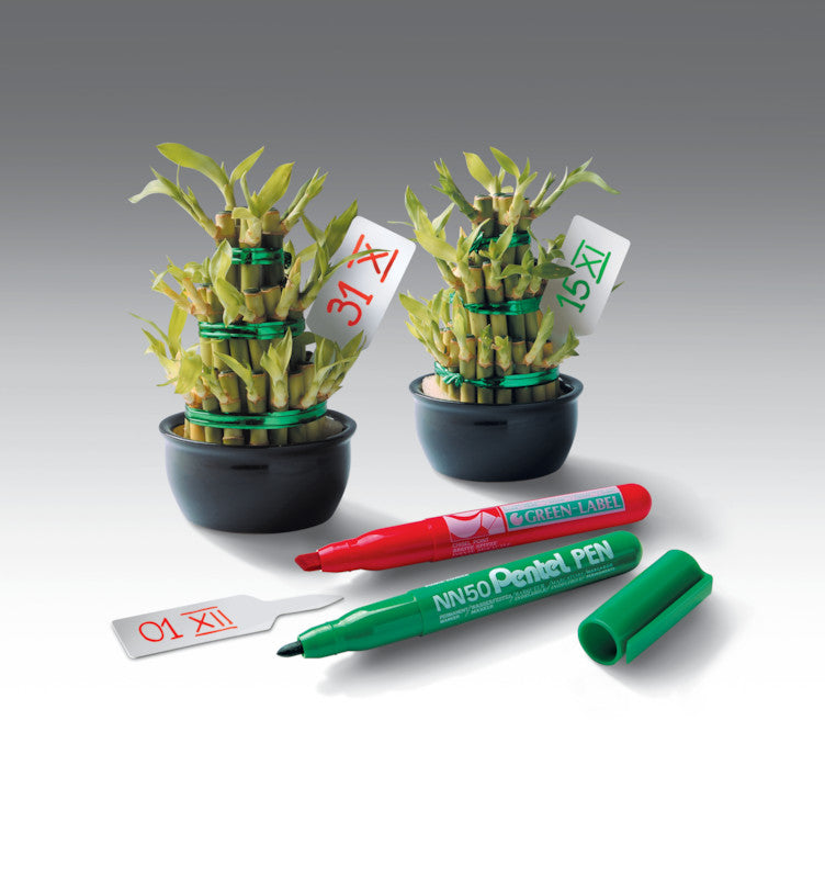 Pentel Permanent Marker – grün