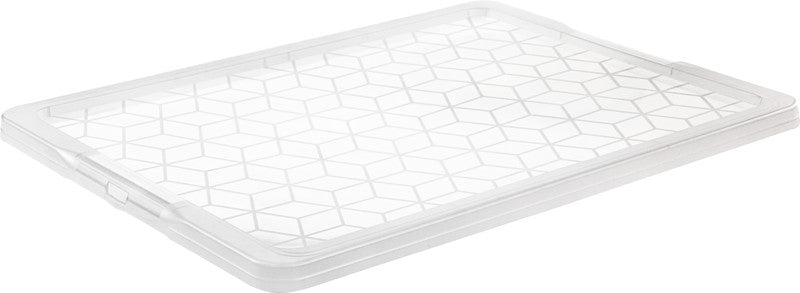 Rotho Deckel – für Aufbewahrungsbox Evo Easy, Kunststoff, transparent, 79,1 × 2,8 × 59,3 cm