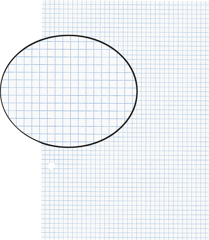Biella Notizbuch-Einlagen A5, kariert 4 mm, 2-fach gelocht, 90 g/m² – 100 Blatt