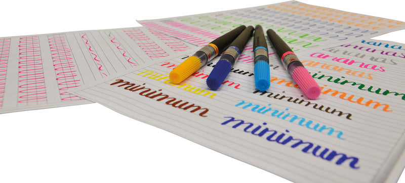 Pentel Auswaschbarer Filzstift, 1 Stk.