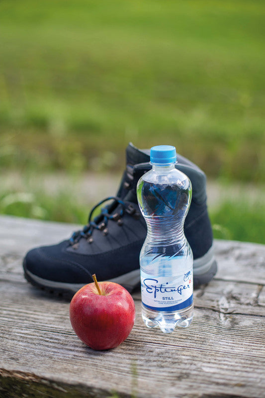 Eptinger Stilles Mineralwasser – 5 dl