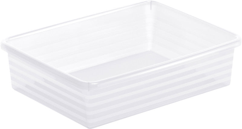 Rotho Formatkörbchen Linus – Kunststoff, transparent, 19,5 × 6 × 22,5 cm