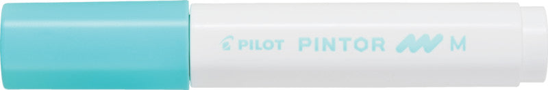 Pilot Pigment-Marker Pintor – Rundspitze 1,5-2,2 mm – Sortiert – 6er-Set – Lichtbeständig