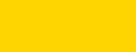 Royal Talens Amsterdam – Acrylic Standard – Acrylfarbe – Hellazogelb, 500 ml